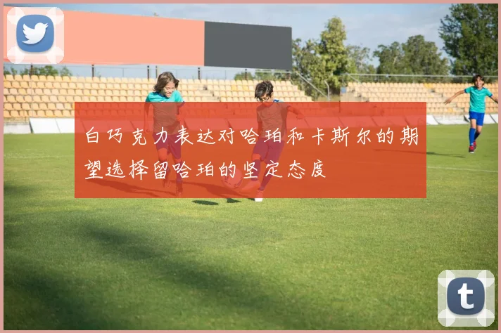 白巧克力表达对哈珀和卡斯尔的期望选择留哈珀的坚定态度
